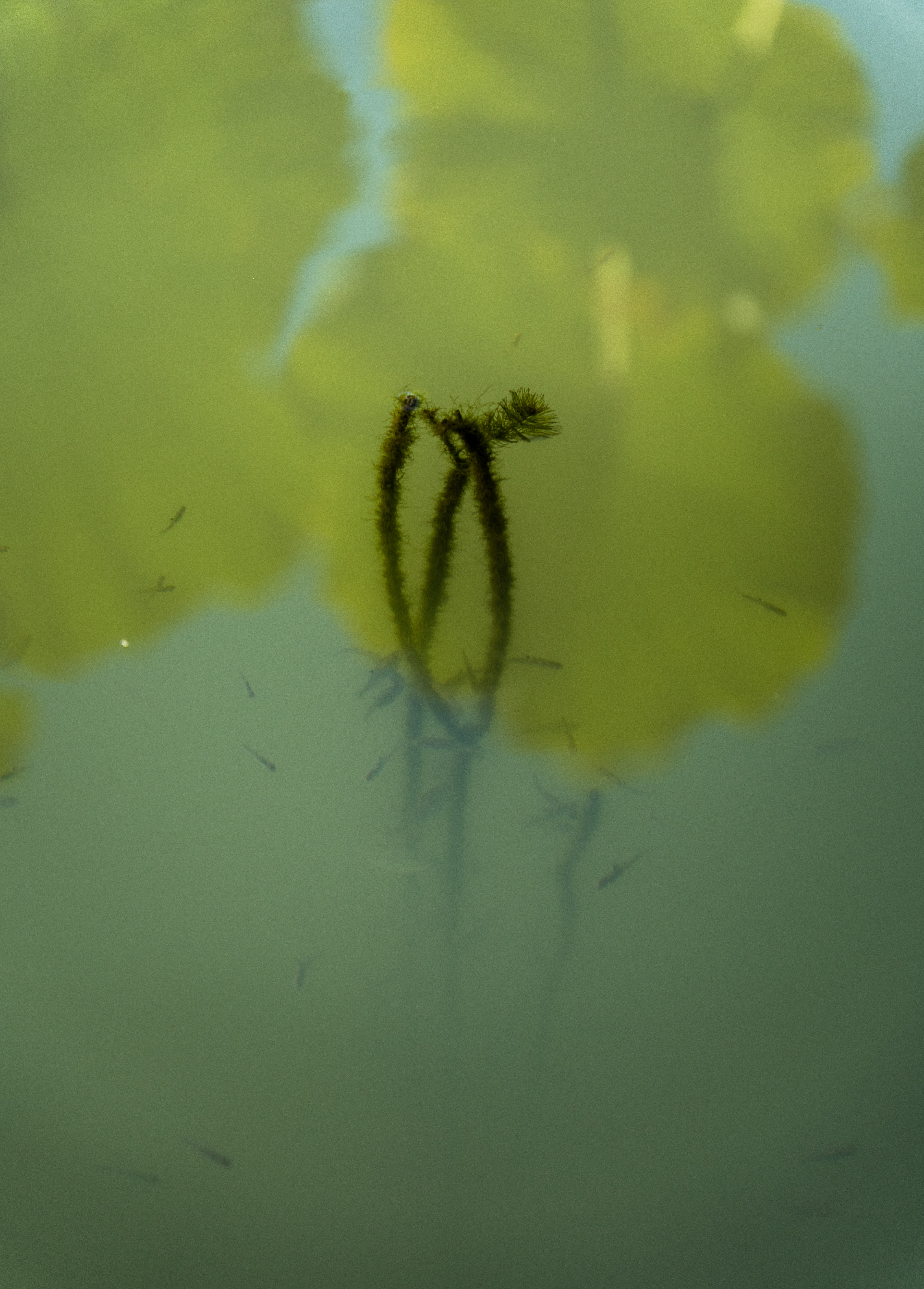 Tsinghua University, Oct 2023.