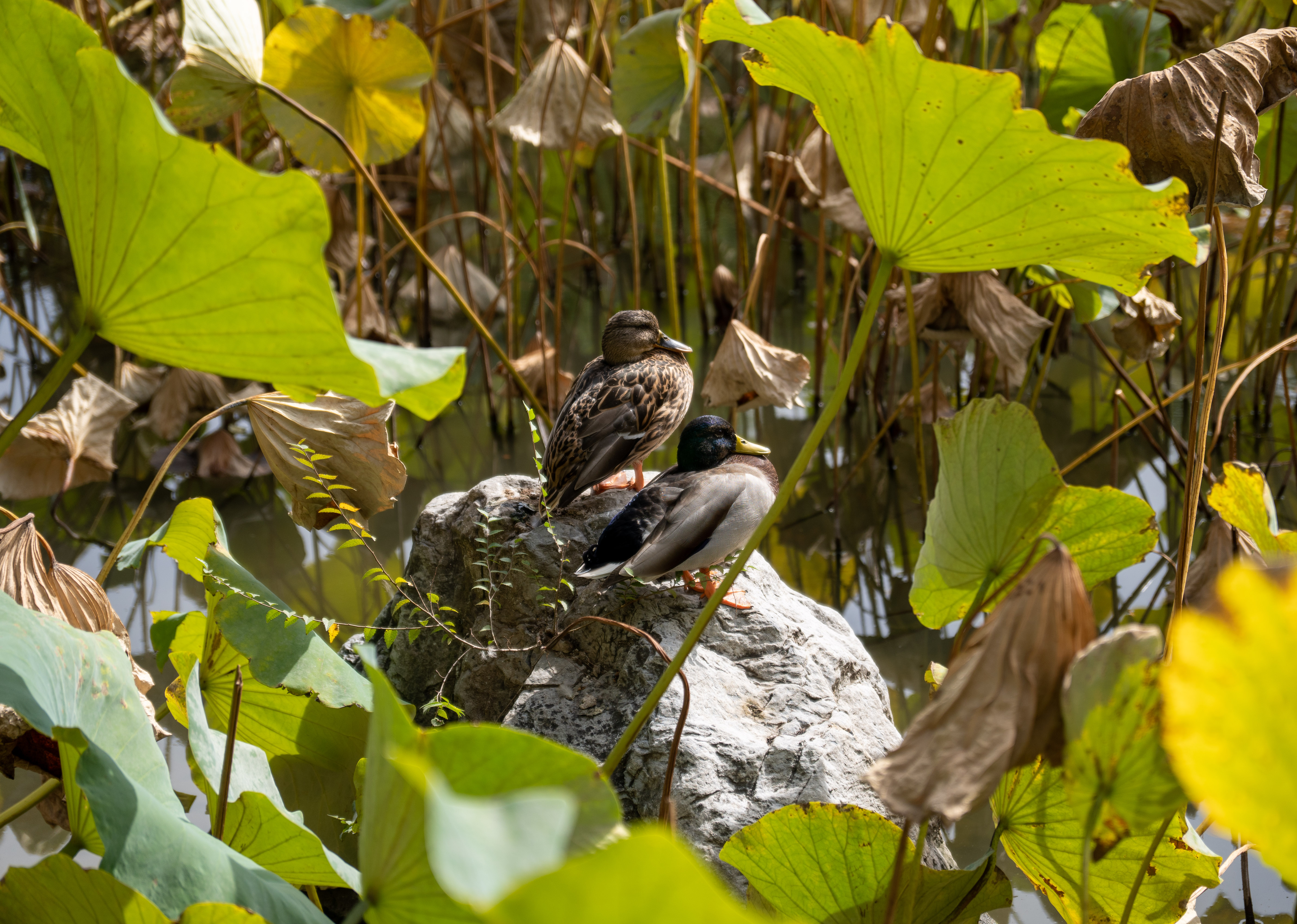 Tsinghua University, Oct 2023.