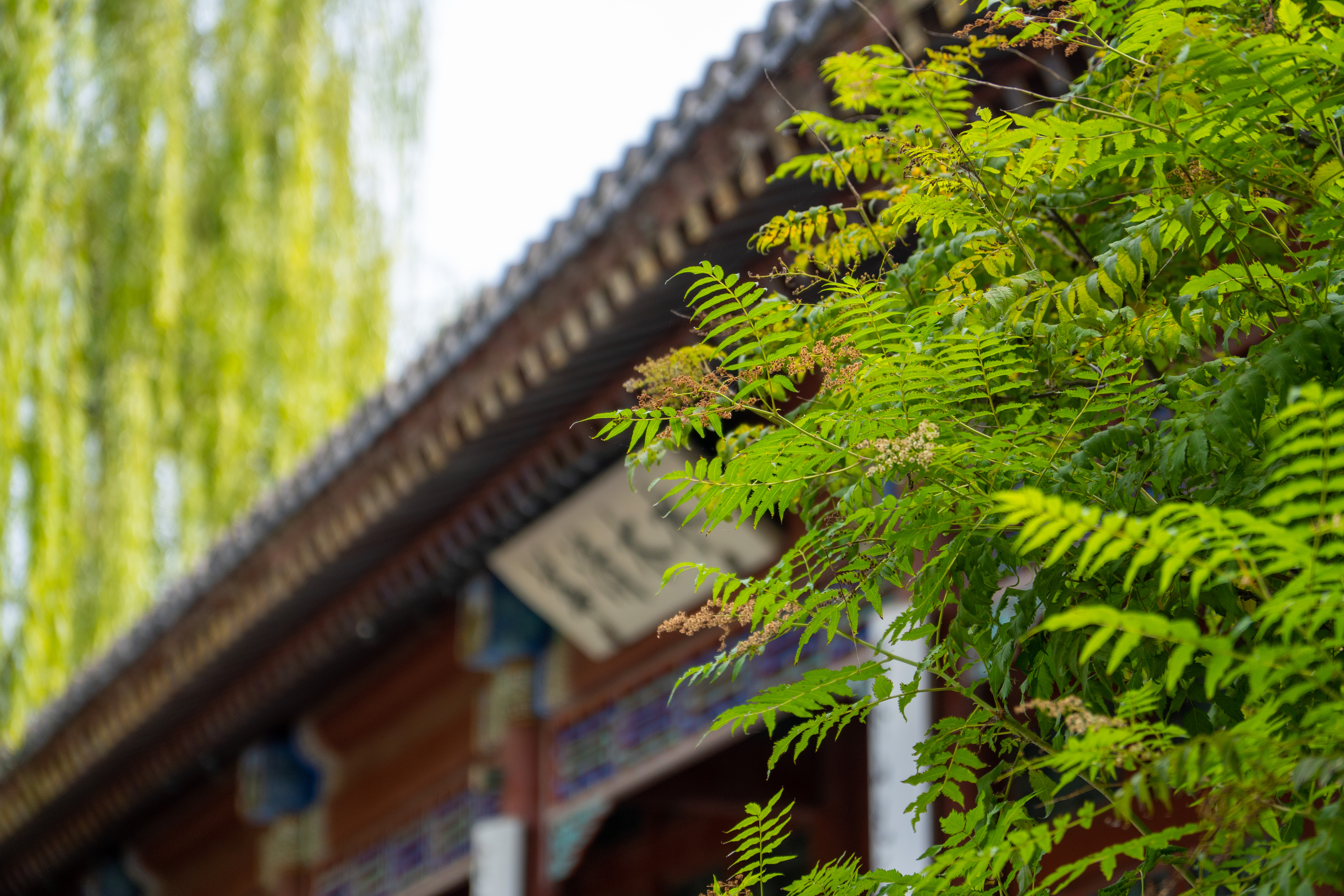 Tsinghua University, Oct 2023.