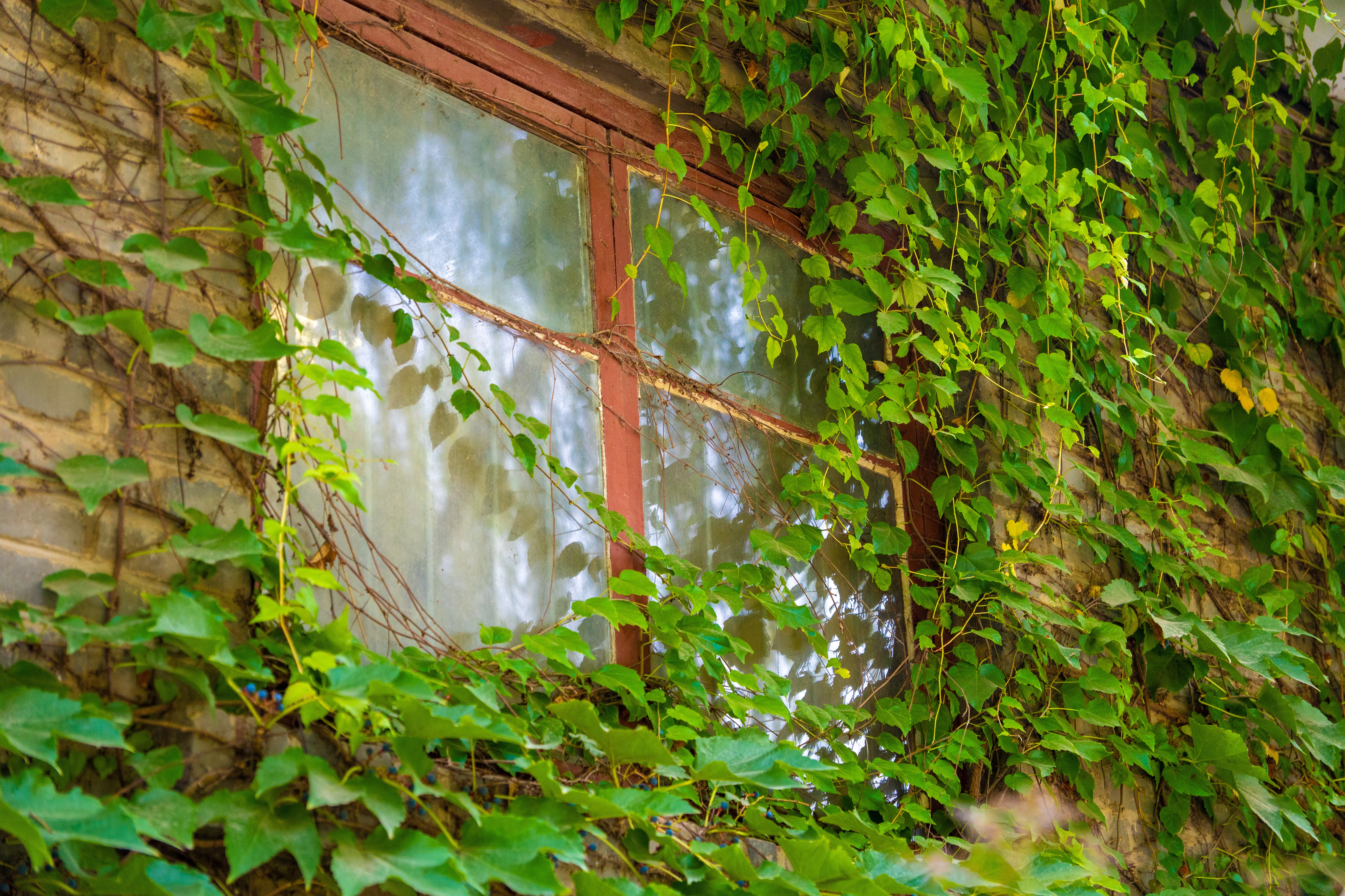 Tsinghua University, Oct 2023.