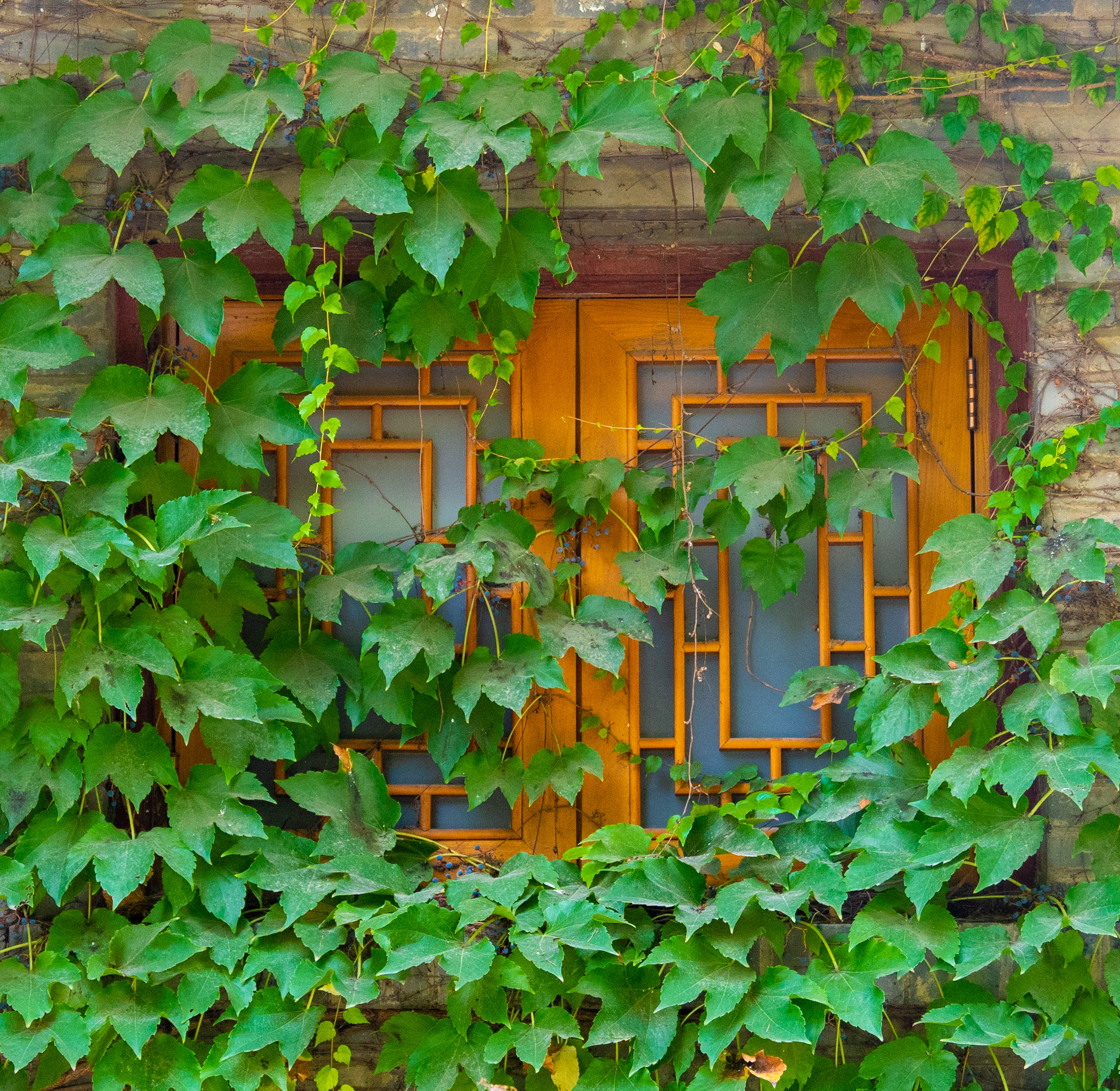 Tsinghua University, Oct 2023.