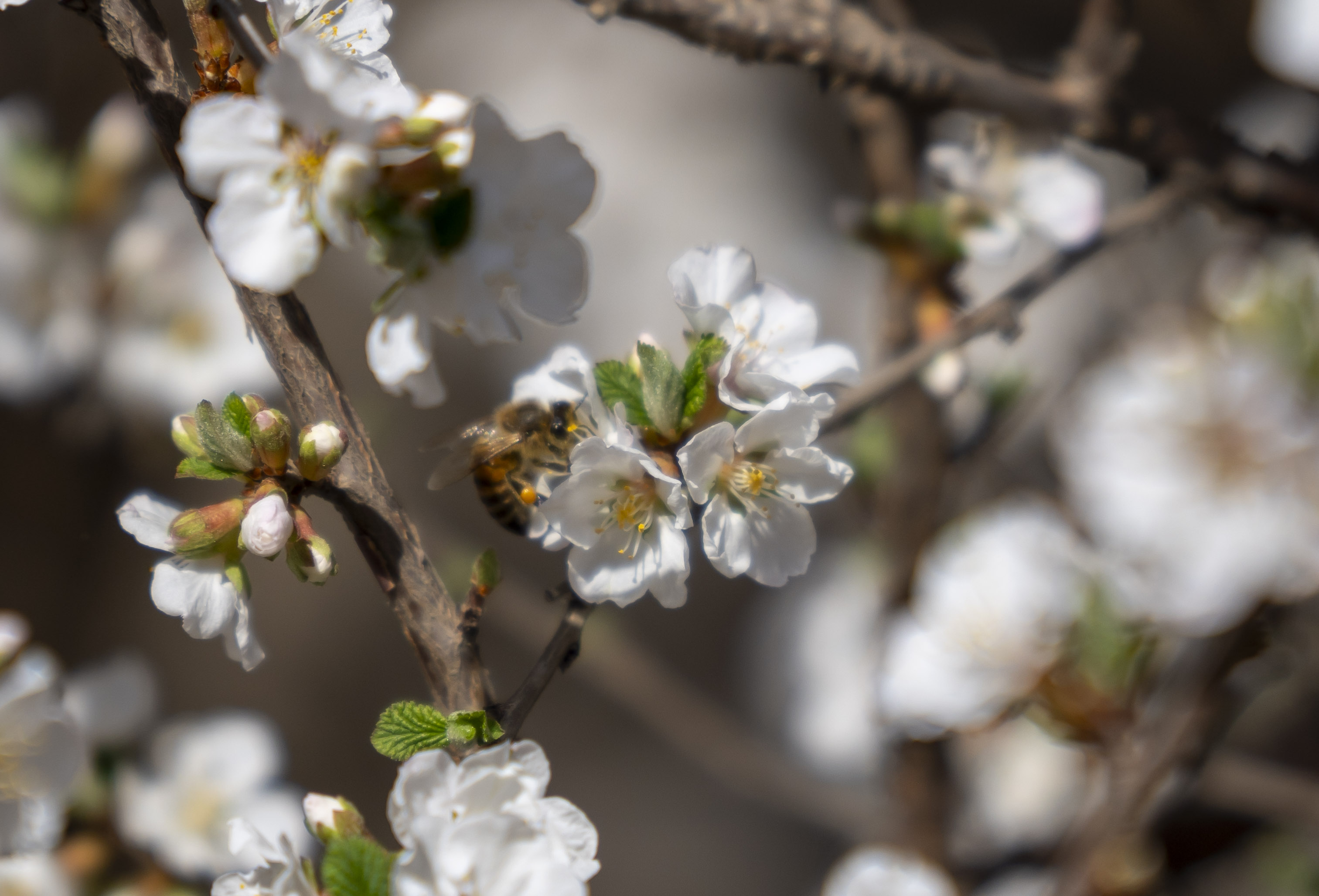 Tsinghua University, May 2024.