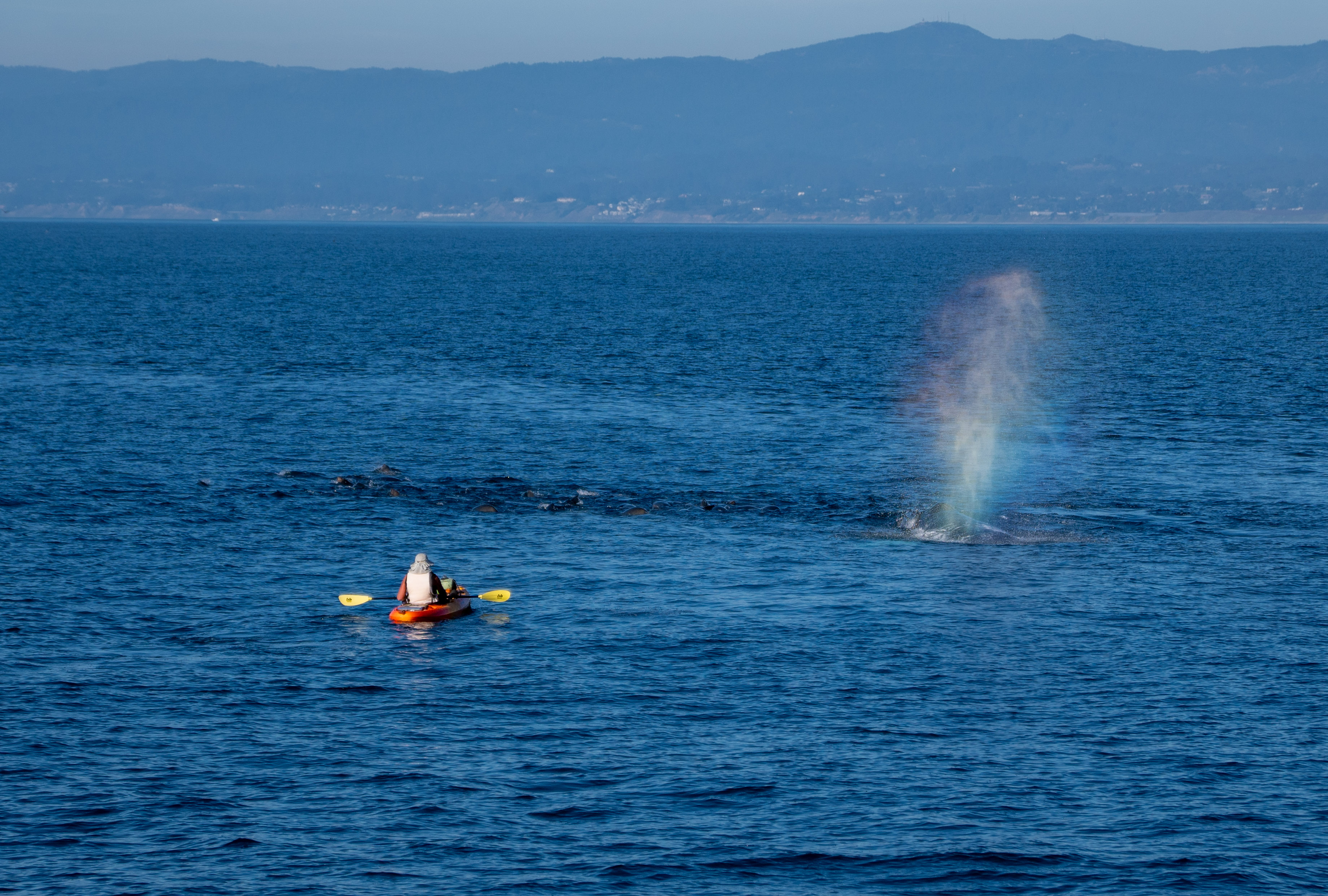 Monterey, Nov 2025.