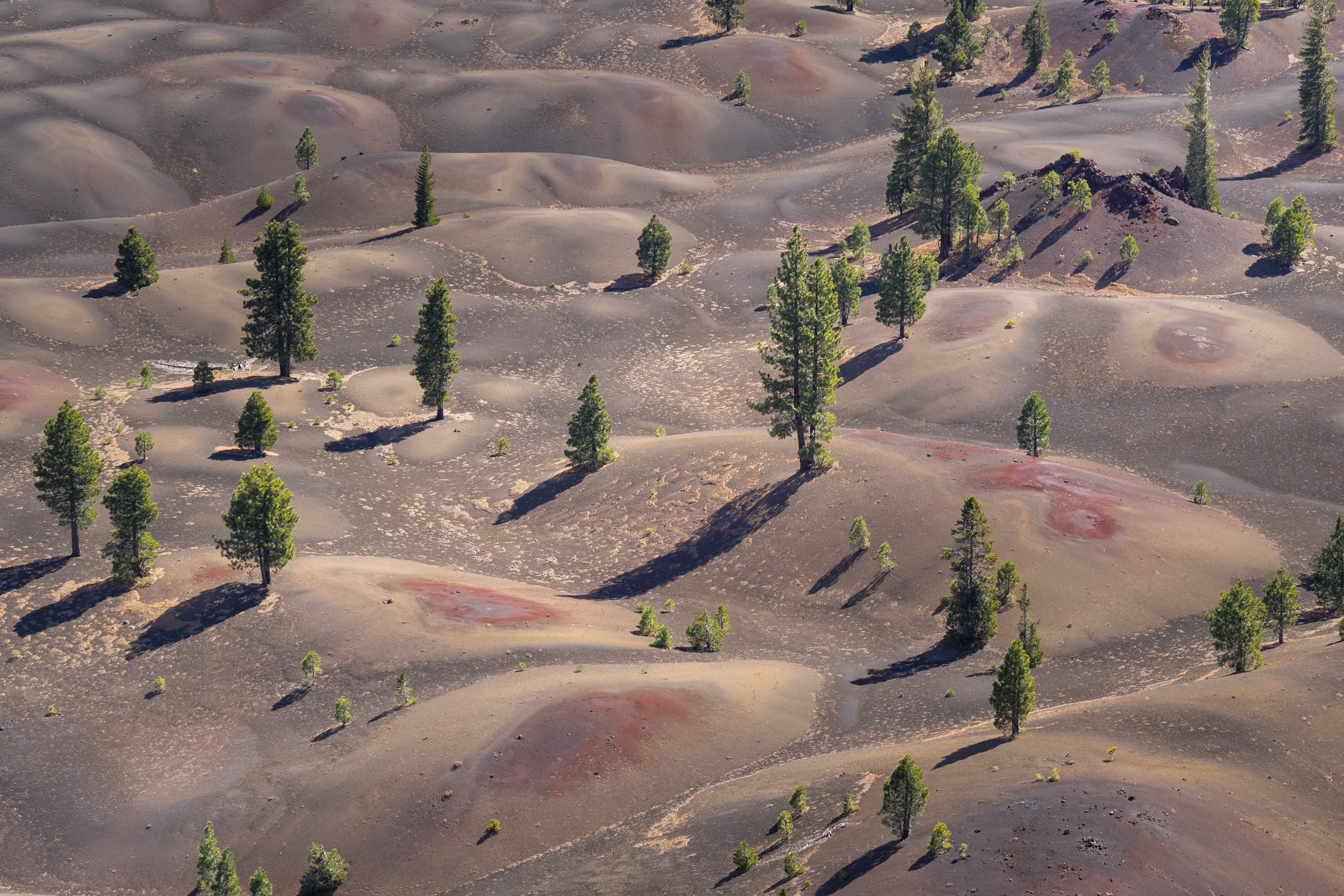 Cinder Cone, Oct 2026