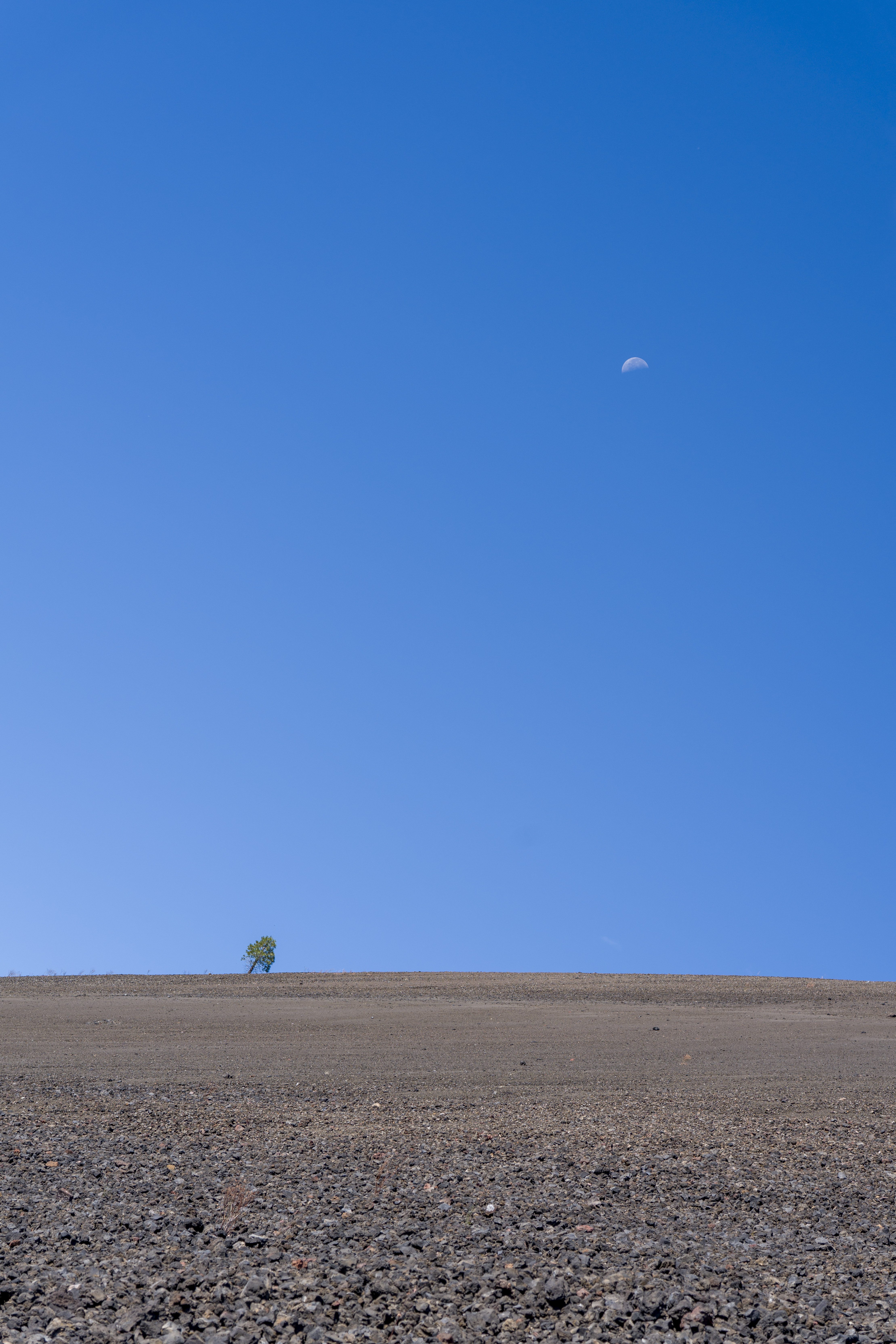 Cinder Cone, Oct 2026.