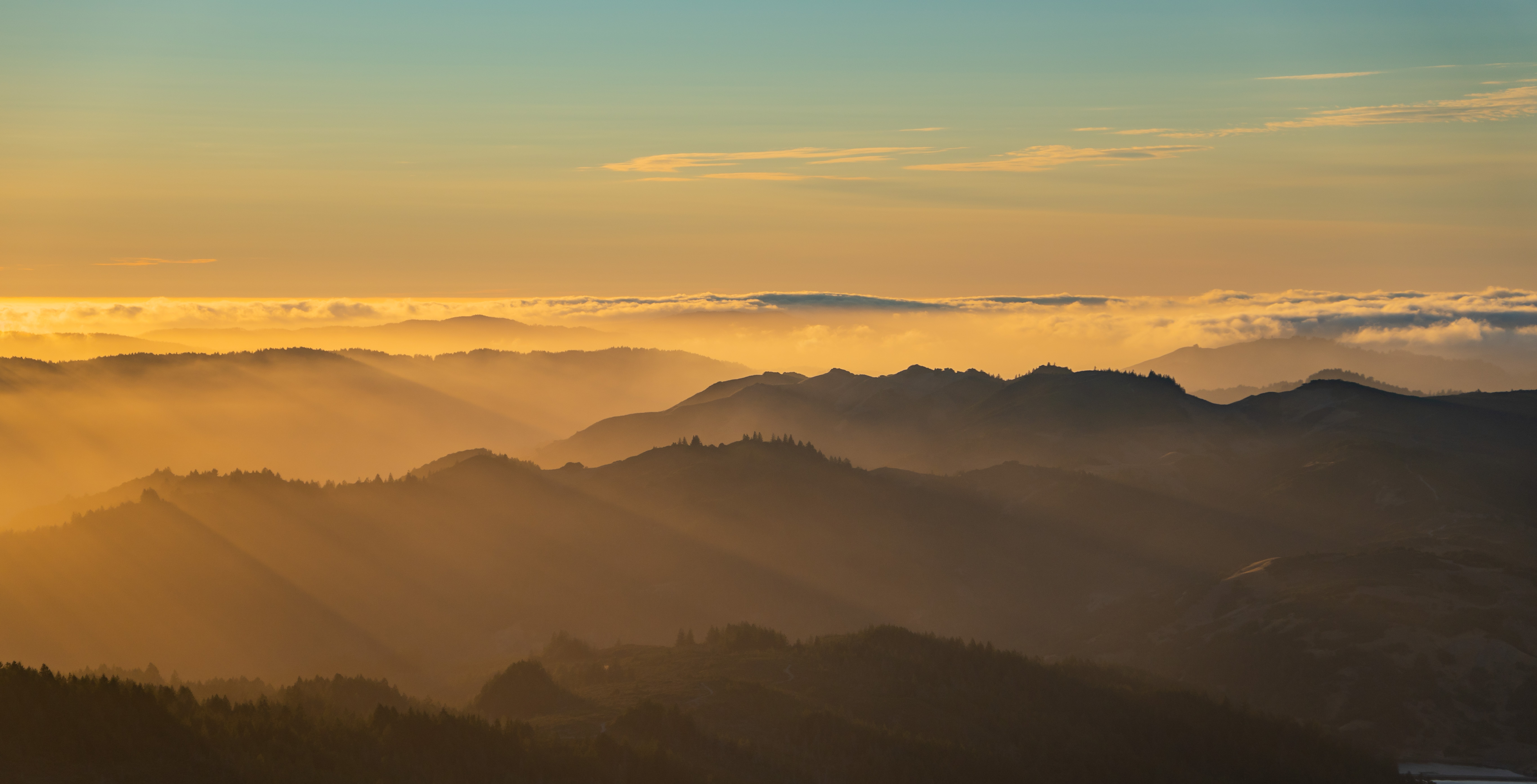 Mt. Tamalpais, Aug 2025.