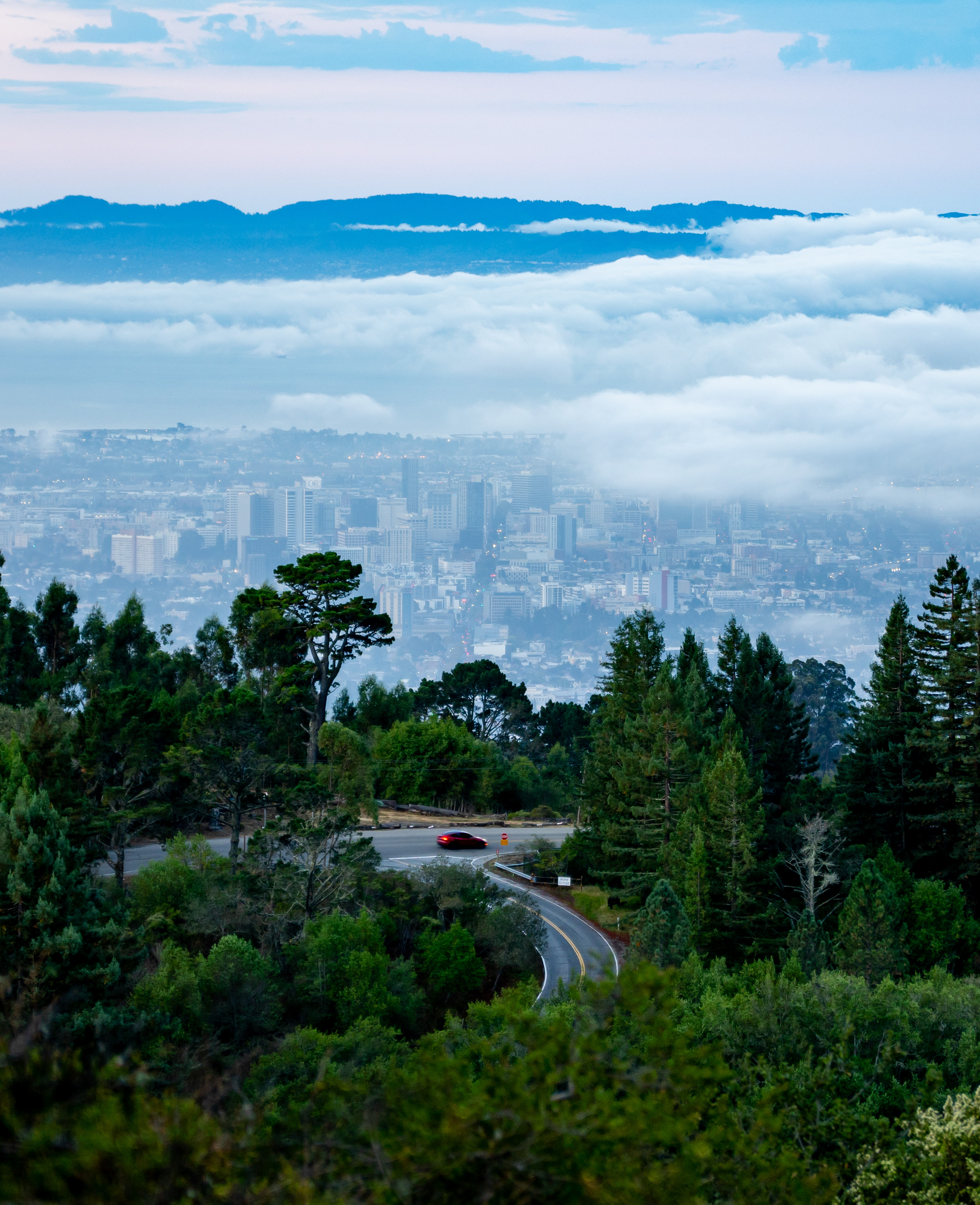 Mt. Tamalpais, Sep 2025.