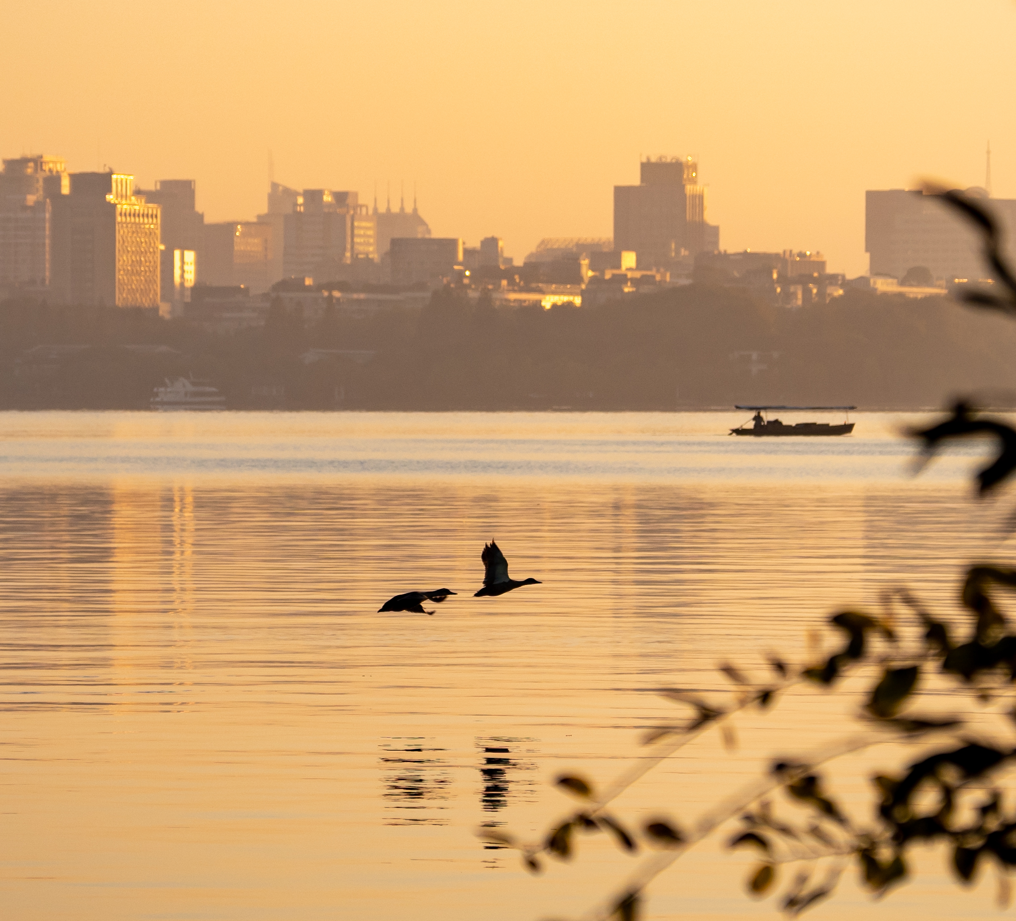 the West Lake, Nov 2023.