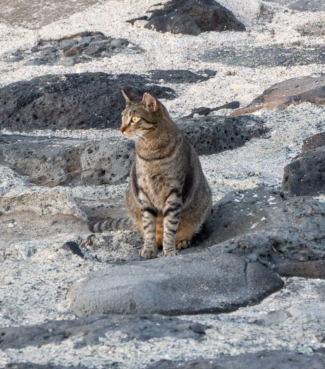Magic Island Beach Park, Jul 2023.