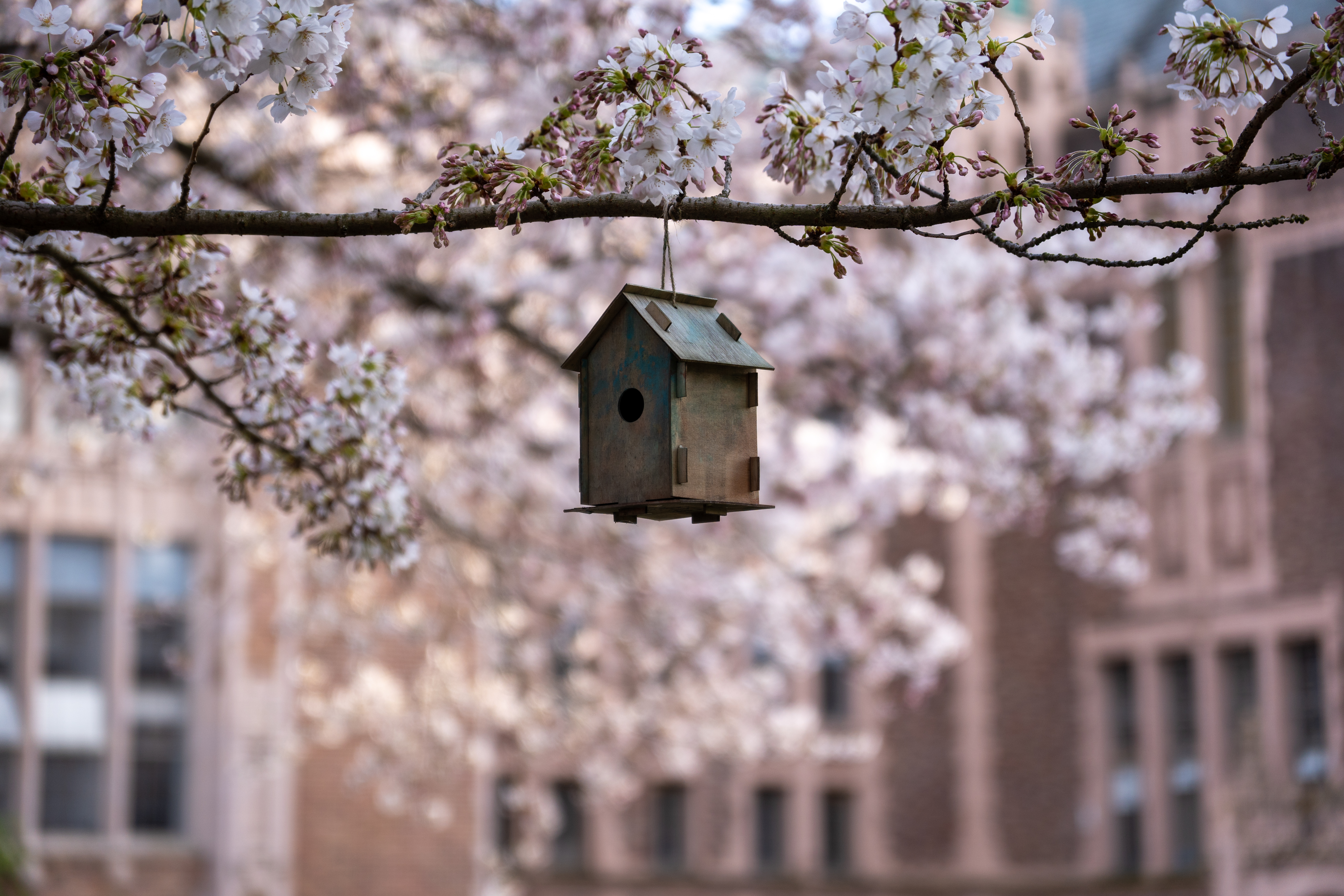 University of Washington, March 2023.