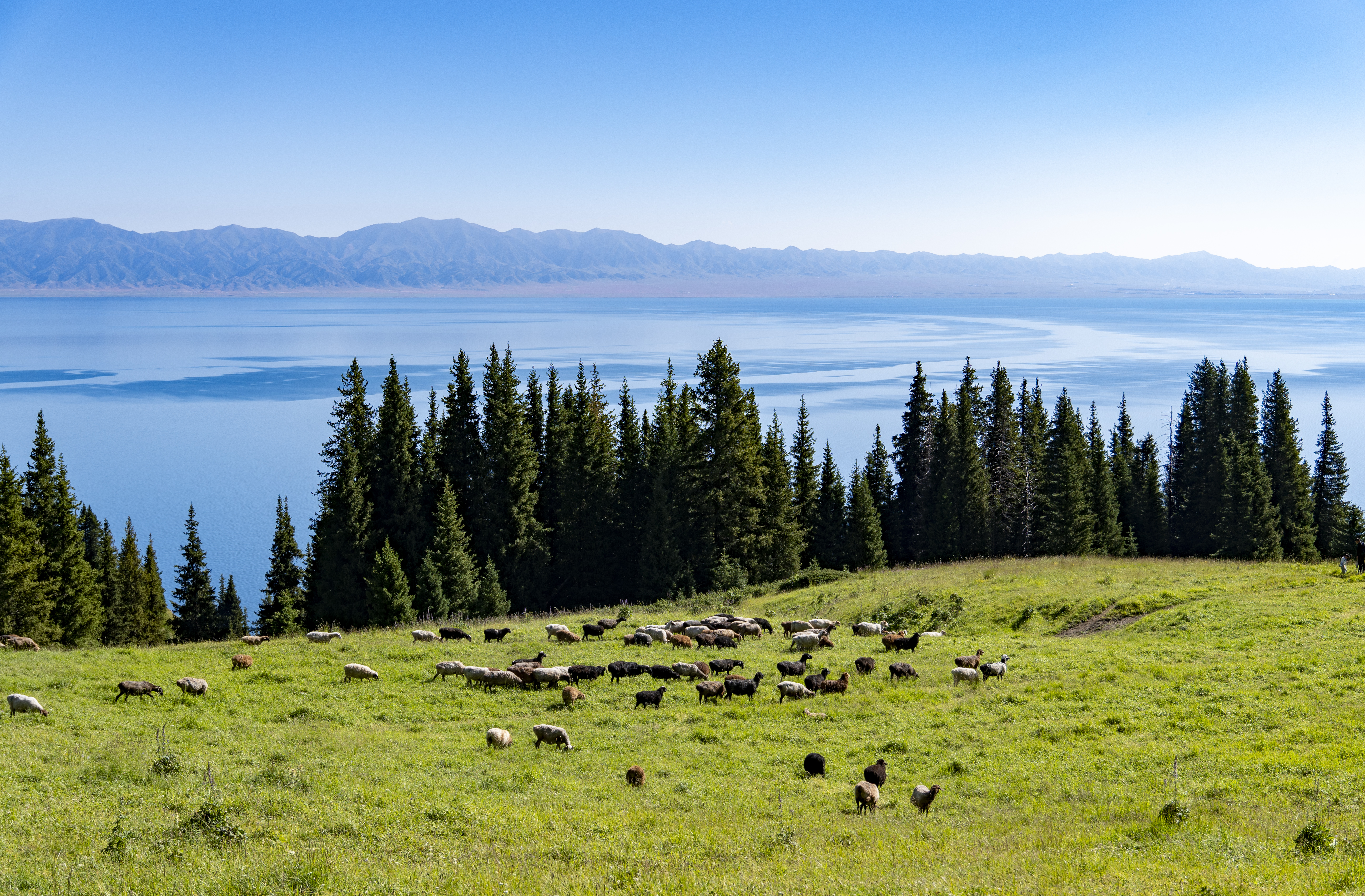 Sayram Lake, Jul 2024.
