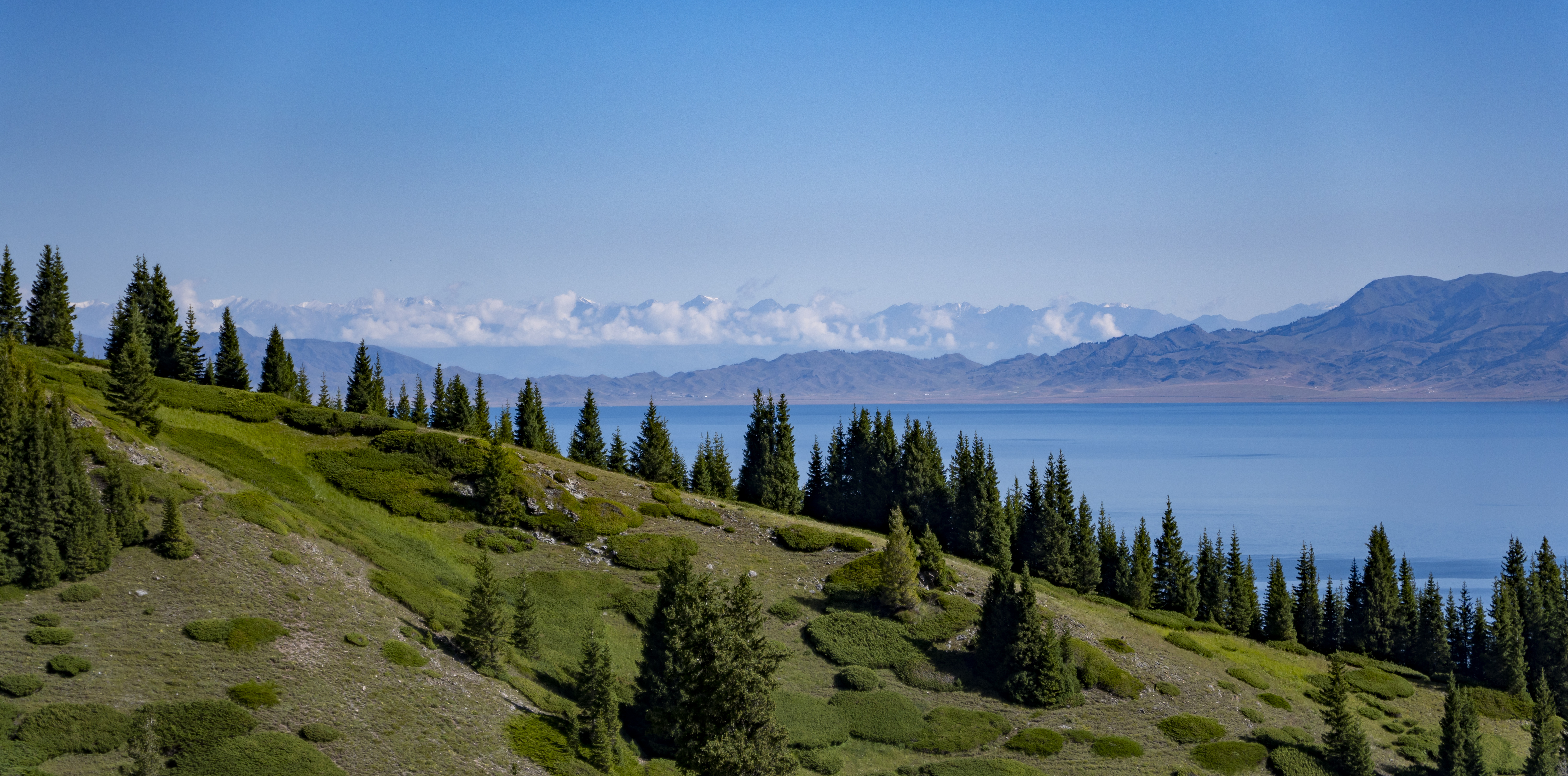 Sayram Lake, Jul 2024.